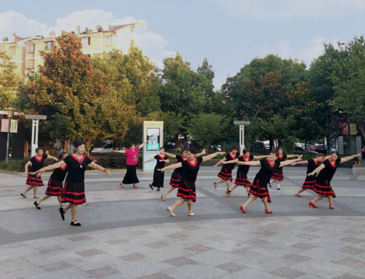 智能廣場(chǎng)舞系統(tǒng)