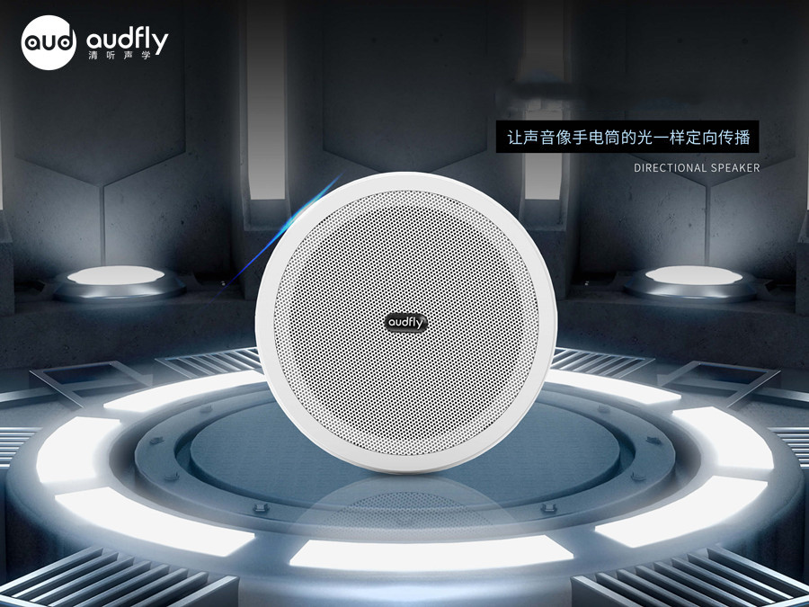 清聽聲學(xué)定向音箱R2